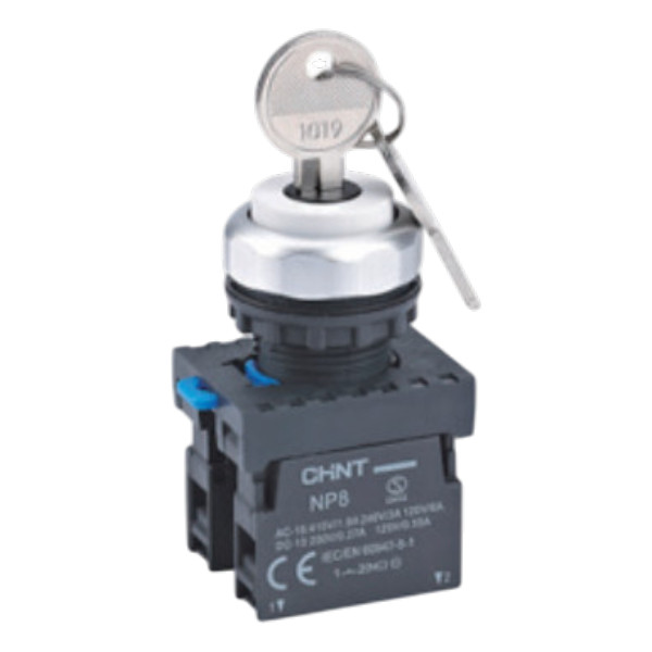 CHINT Key Switch Np8-11Y/33